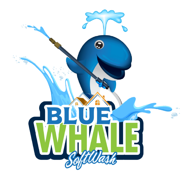 Blue Whale SWS | Exterior Cleaning Doncaster