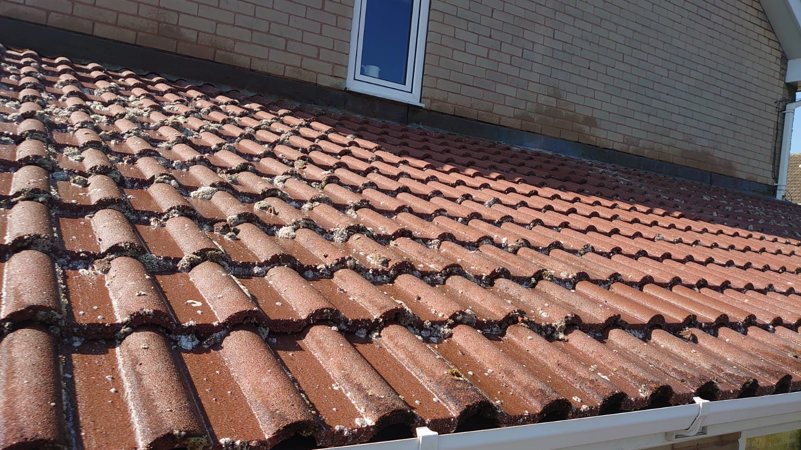 Protect Your Investment: The Importance of Roof Maintenance