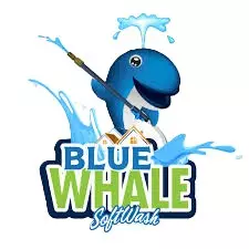 Blue Whale SWS Logo