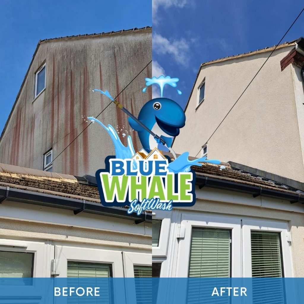 Render Cleaning
