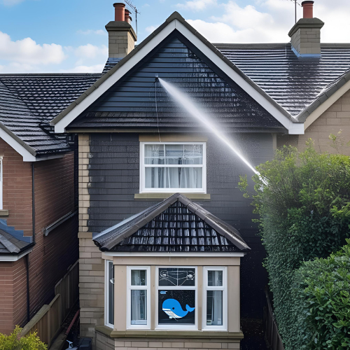 Roof cleaning Sheffield