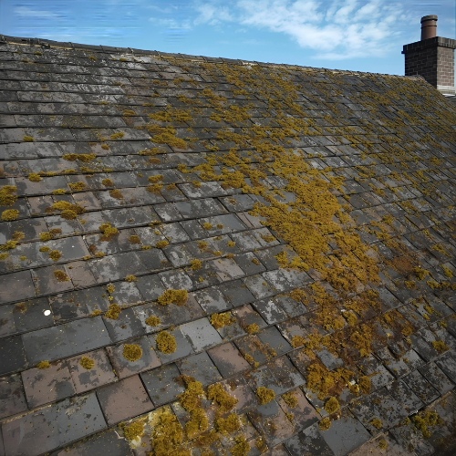 roof cleaning Sheffield