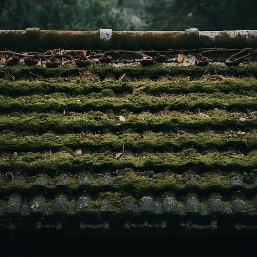 Is moss on a roof harmful