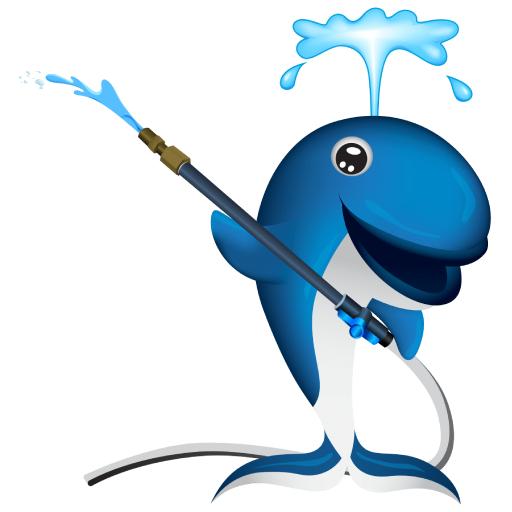 The SoftWash process