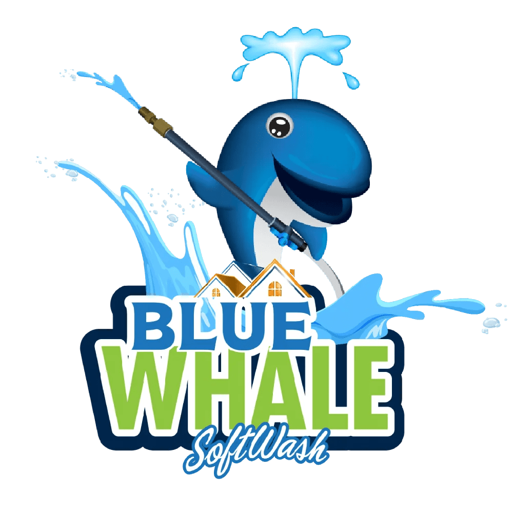 Blue Whale SWS Logo