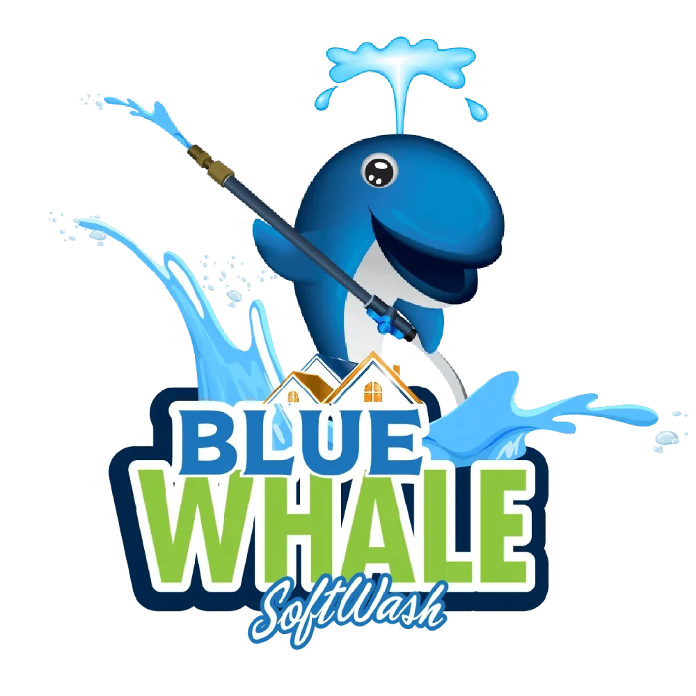 Blue Whale SWS Logo