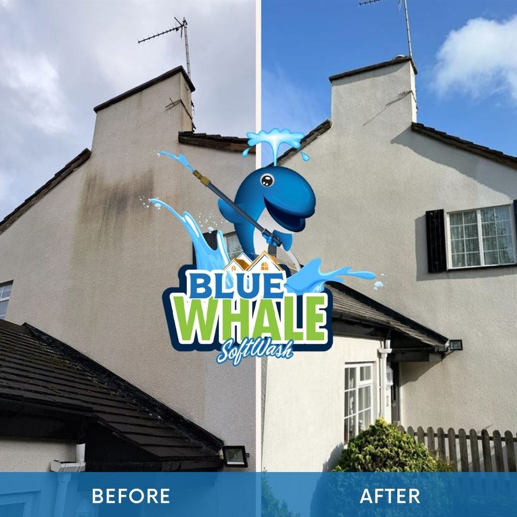 Render cleaning Services 