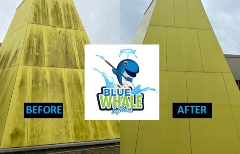 Red & Green Algae Render Removal